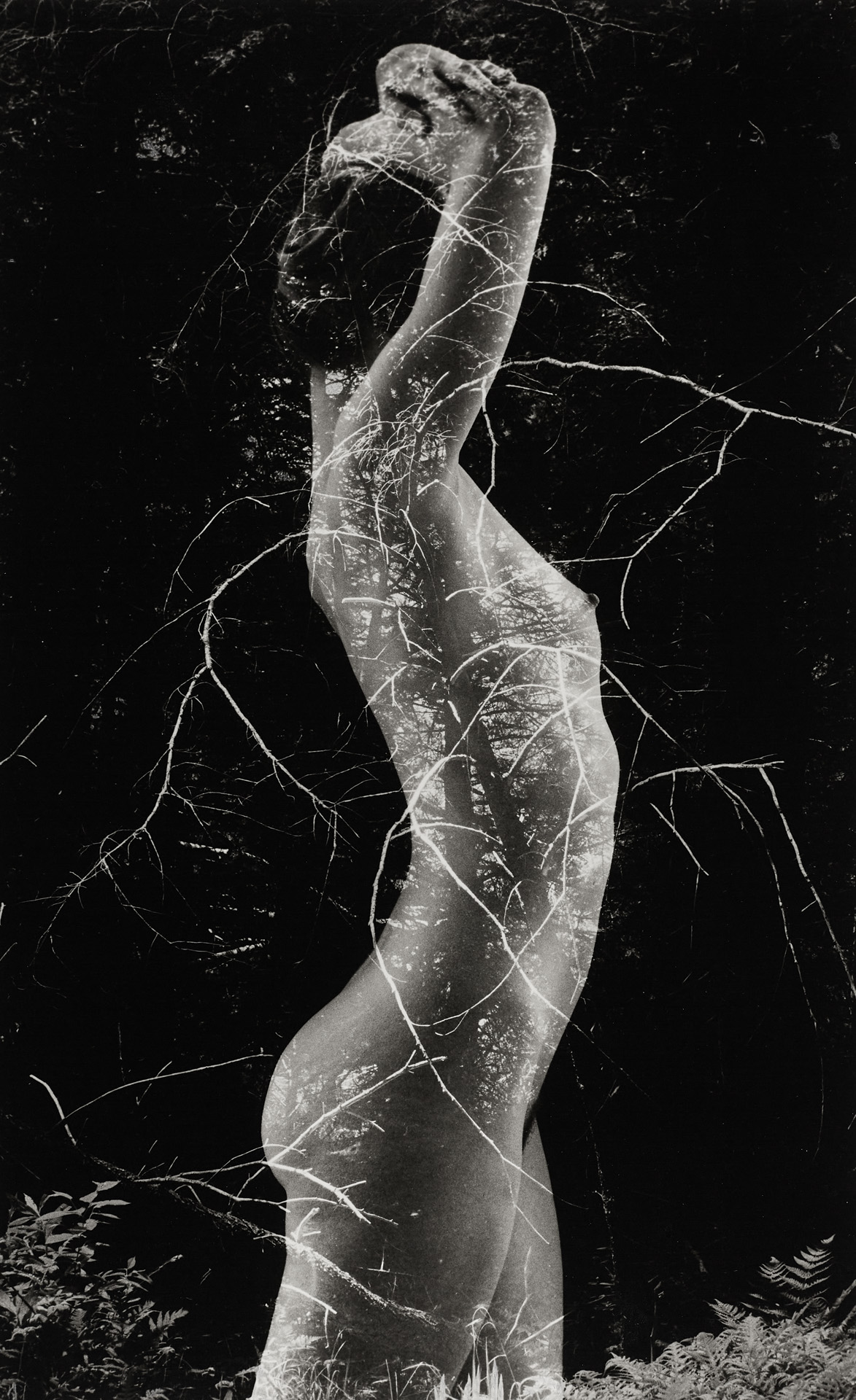 RUTH BERNHARD (1905–2006) - ‘Symbiosis’, 1971 RUTH BERNHARD (1905–2006) - ‘Symbiosis’, 1971
