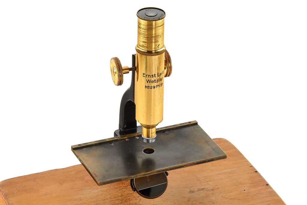 Leitz Dissecting Microscope Leitz Dissecting Microscope
