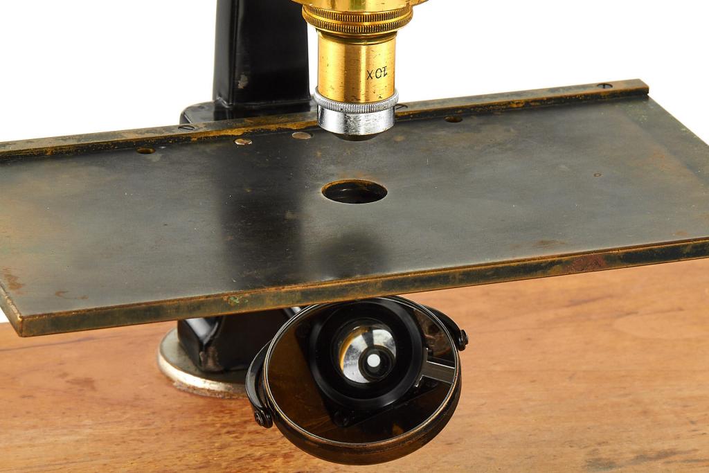 Leitz Dissecting Microscope Leitz Dissecting Microscope