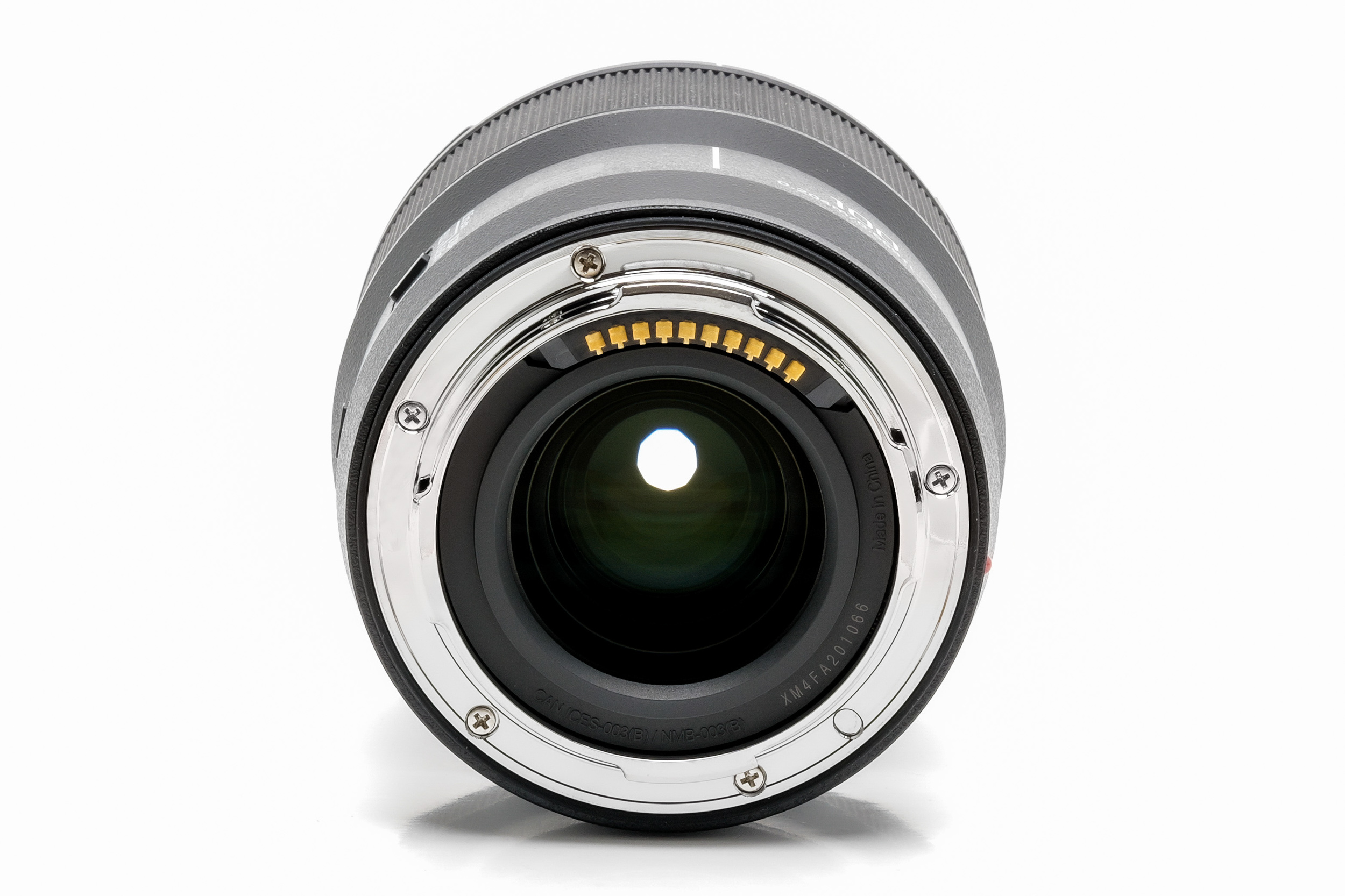 Panasonic Lumix S-E 100mm f/2.8 Macro L-Mount