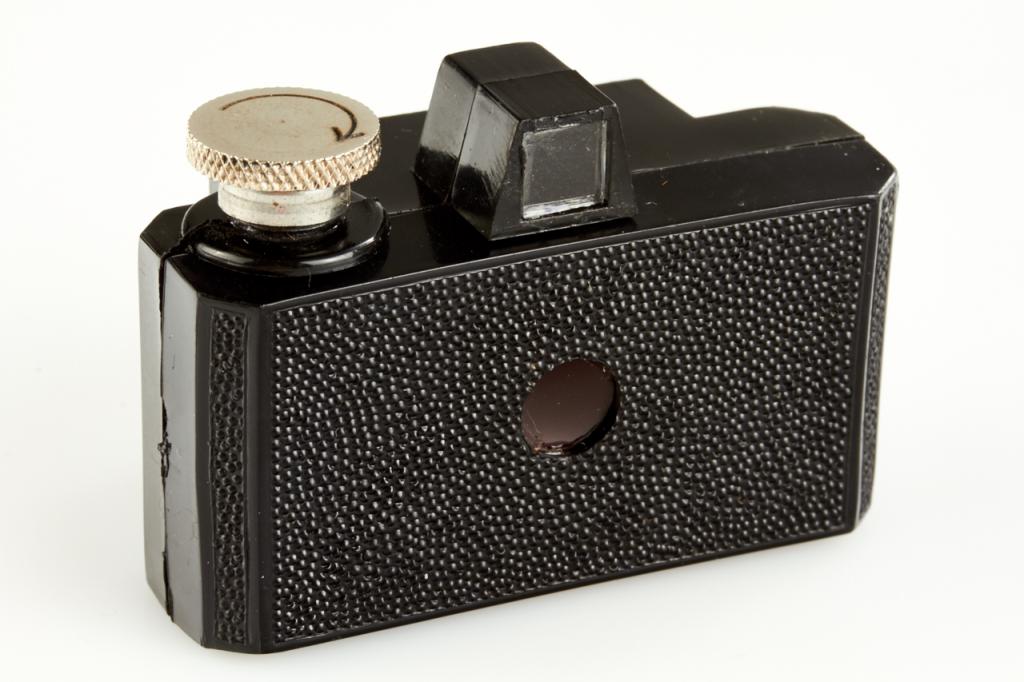 Knödler Der kleine "Rex" Knödler Der kleine "Rex"