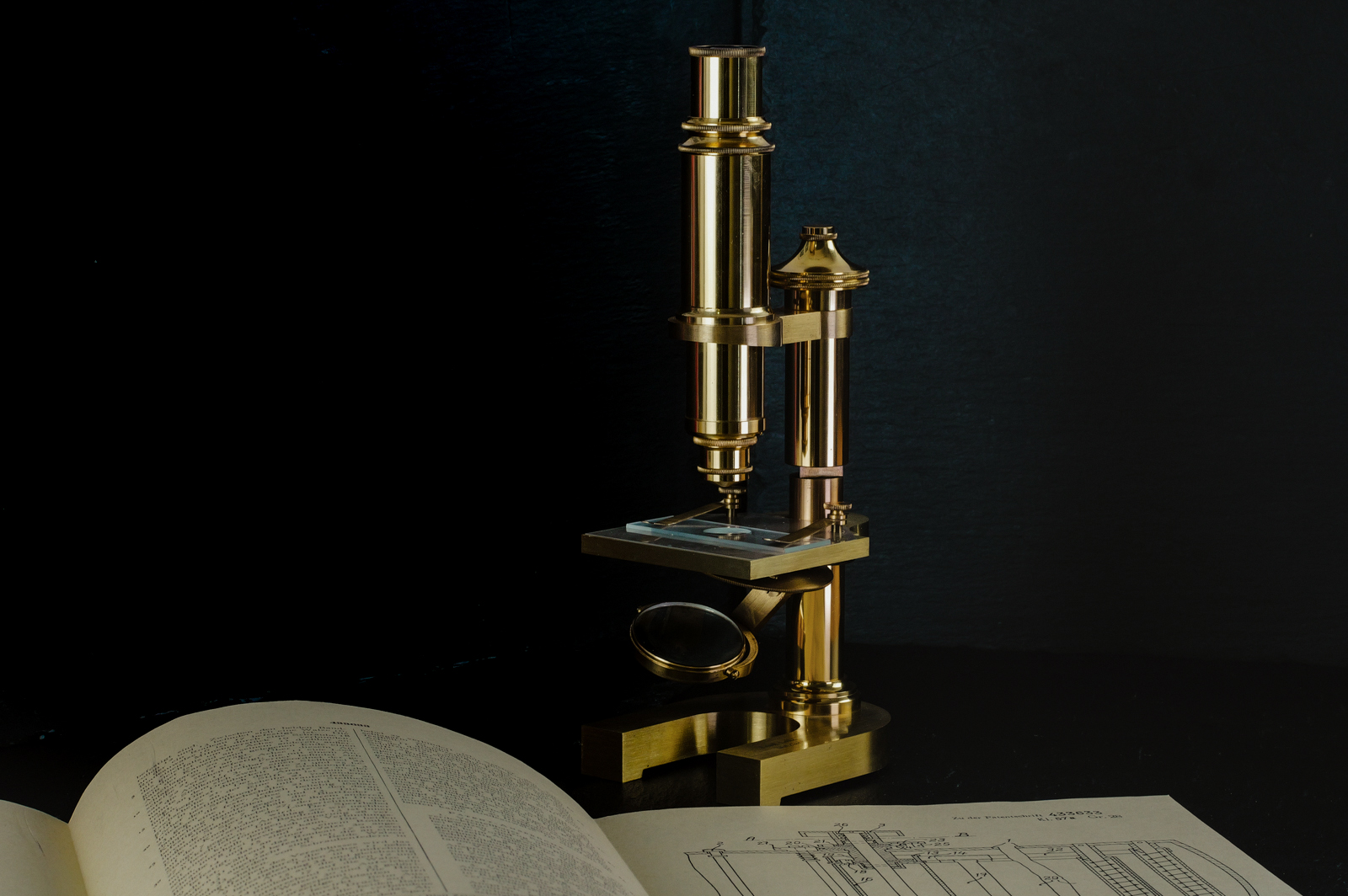 Leica Leitz Brass Microscope Leica Leitz Brass Microscope