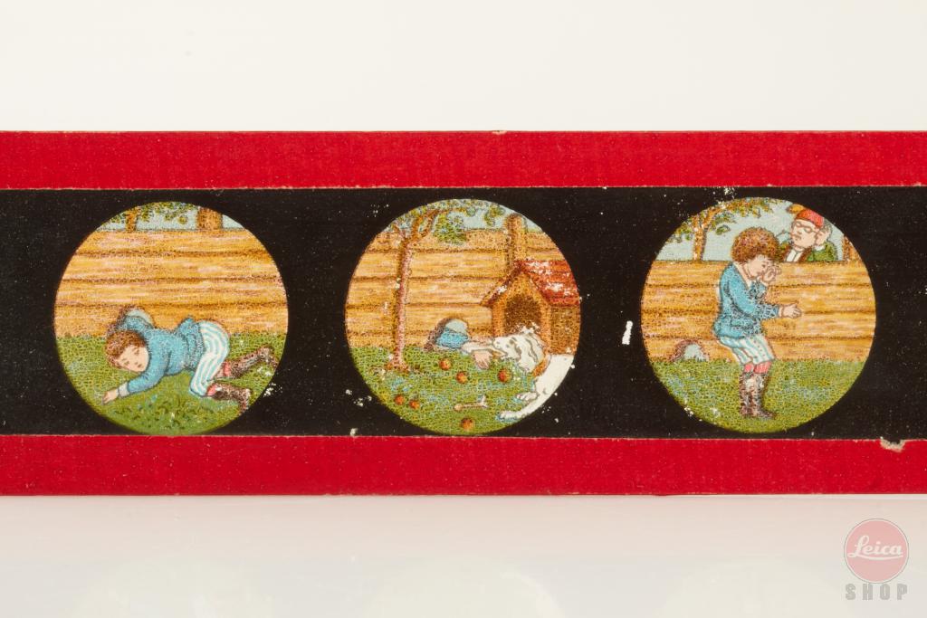 Laterna Magica Slides Laterna Magica Slides