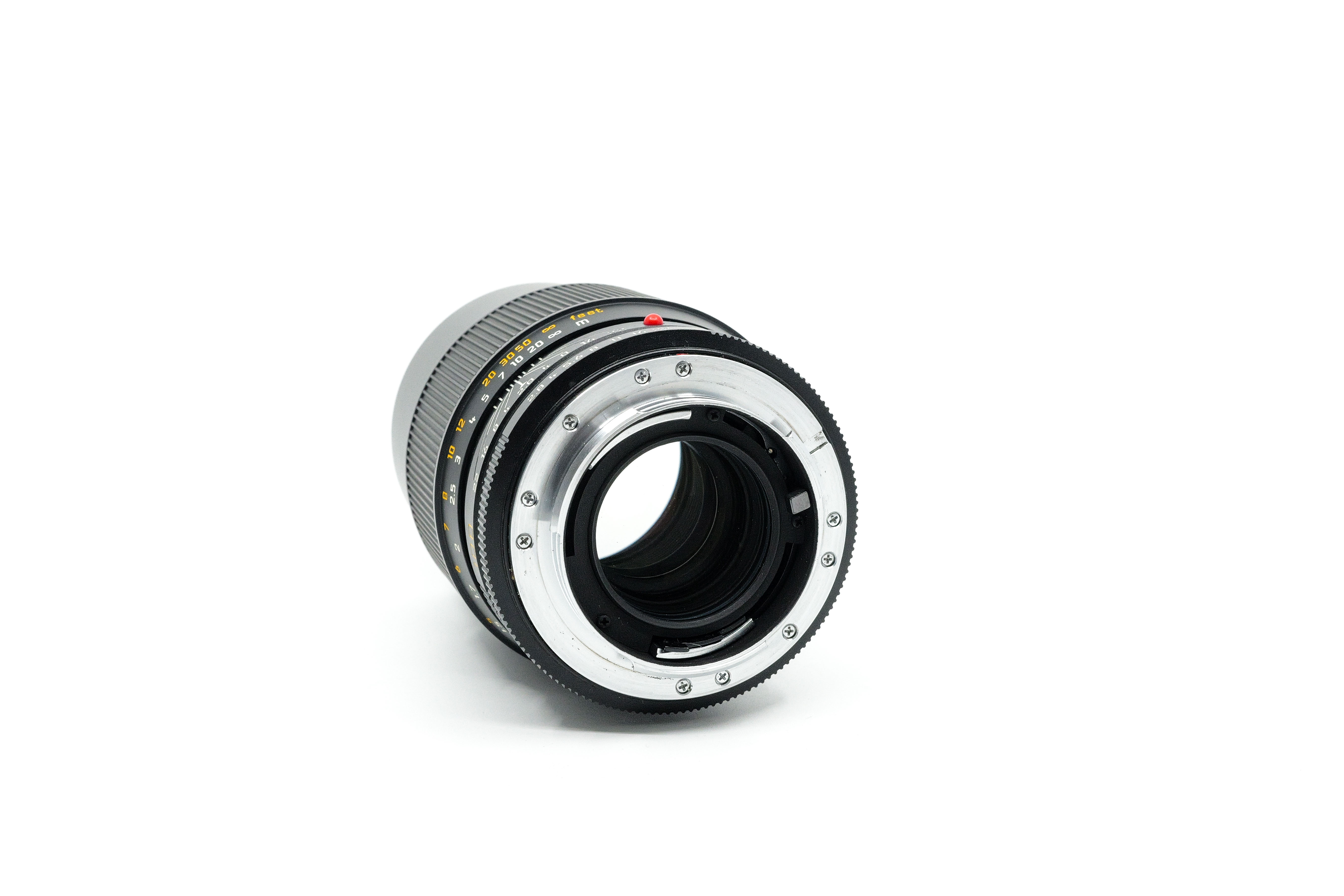 Leica APO-Macro-Elmarit-R 100mm f:2.8 + Elpro