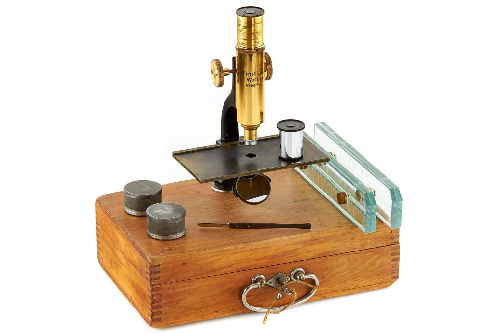 Leitz Dissecting Microscope Leitz Dissecting Microscope