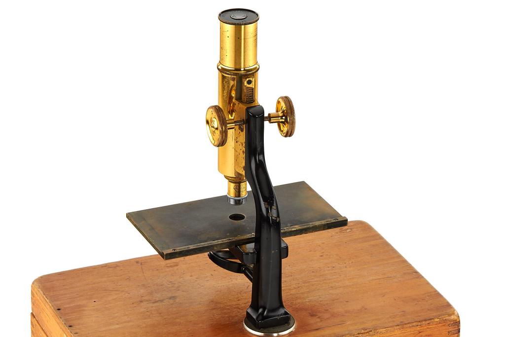 Leitz Dissecting Microscope Leitz Dissecting Microscope