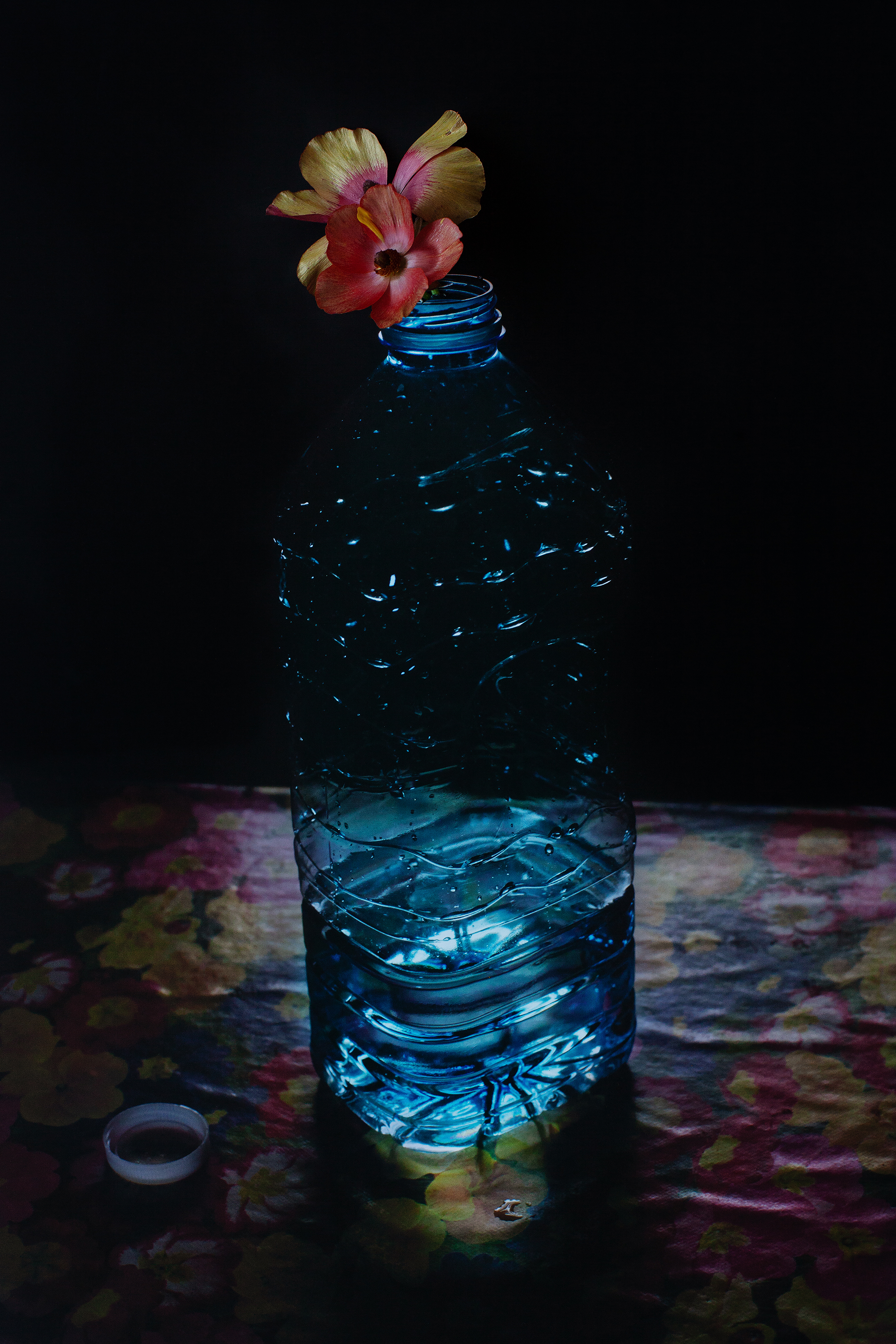 The Bottle